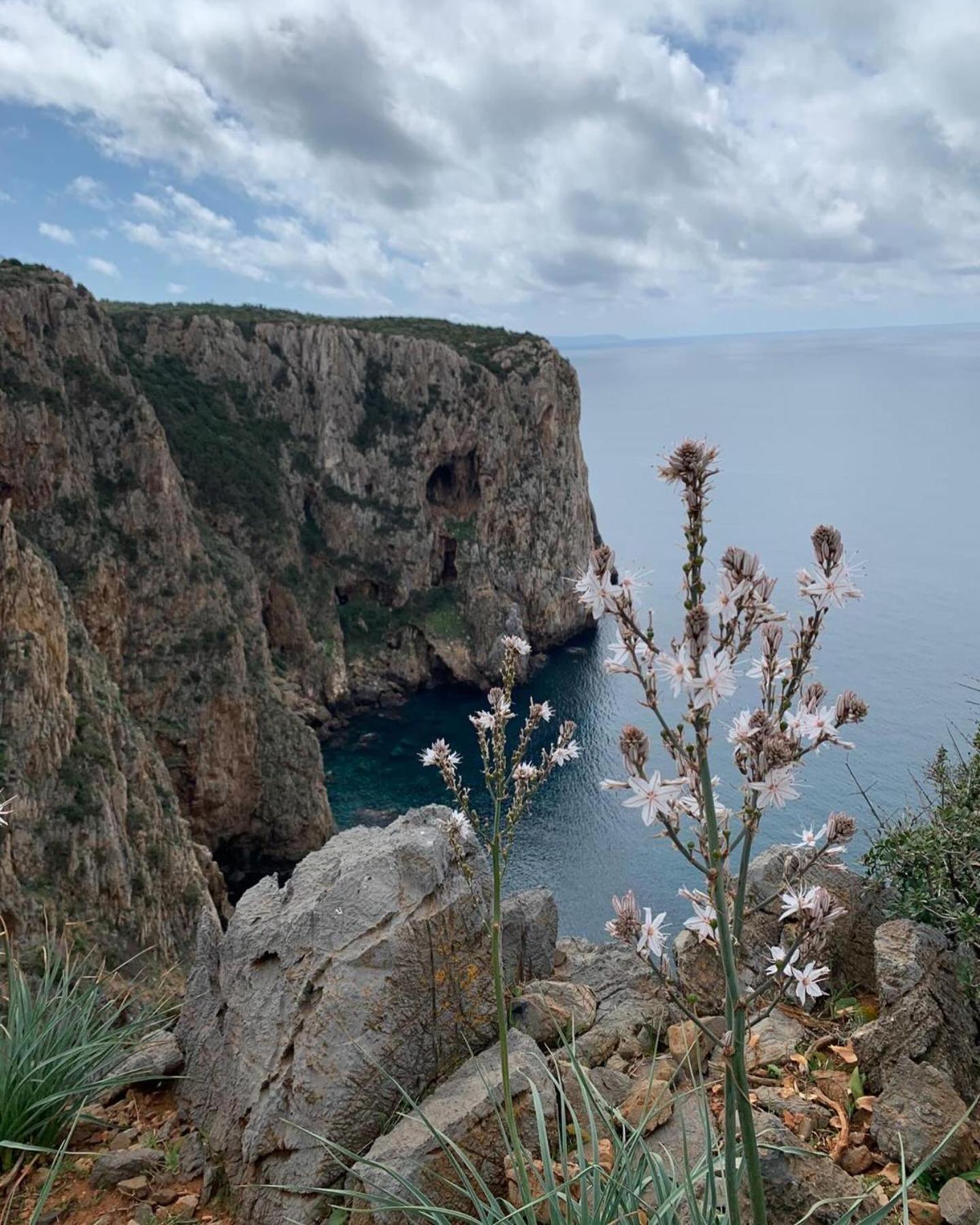 Casa Vacanze Shardana Iglesias Bagian luar foto