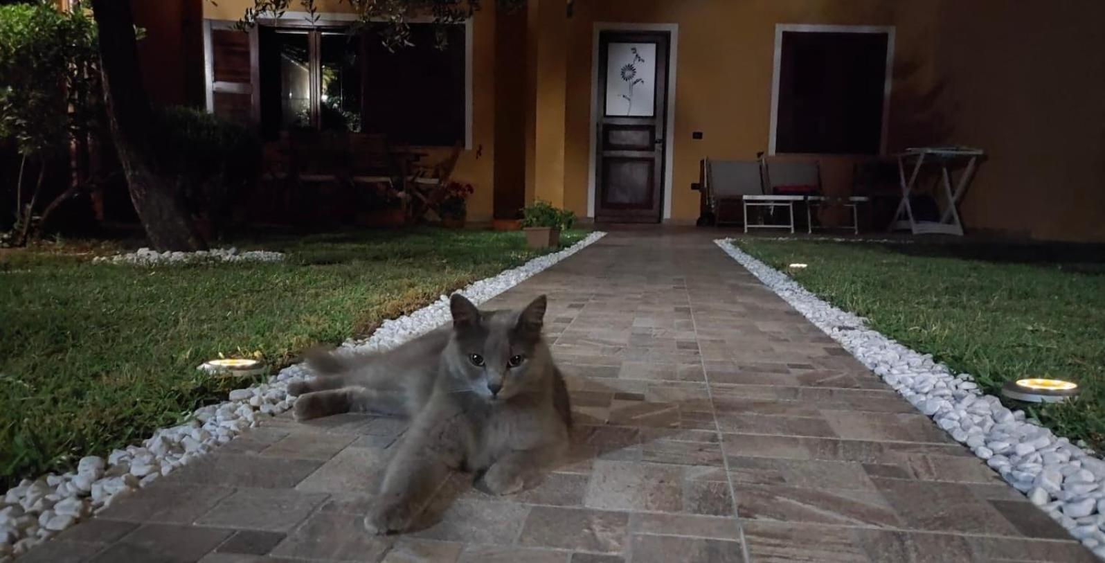 Casa Vacanze Shardana Iglesias Bagian luar foto